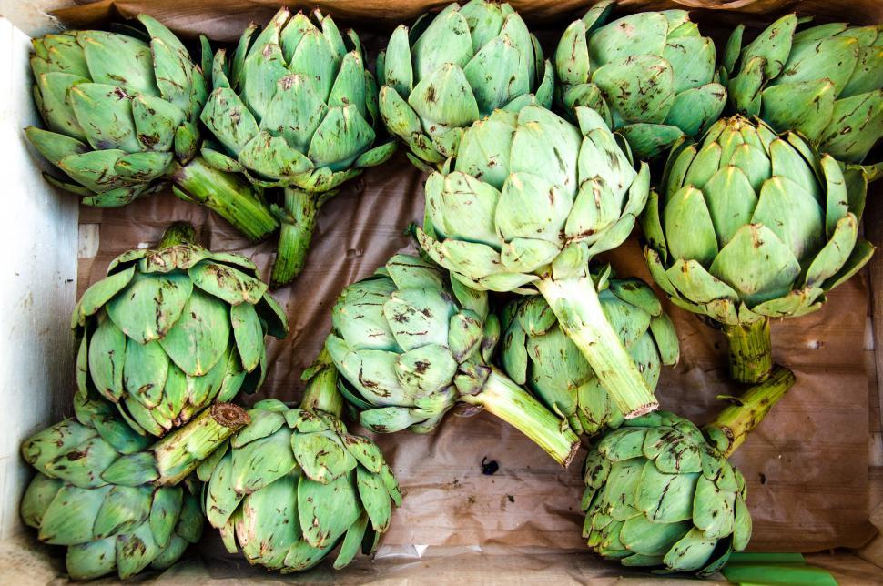 Free Image of artichoke 