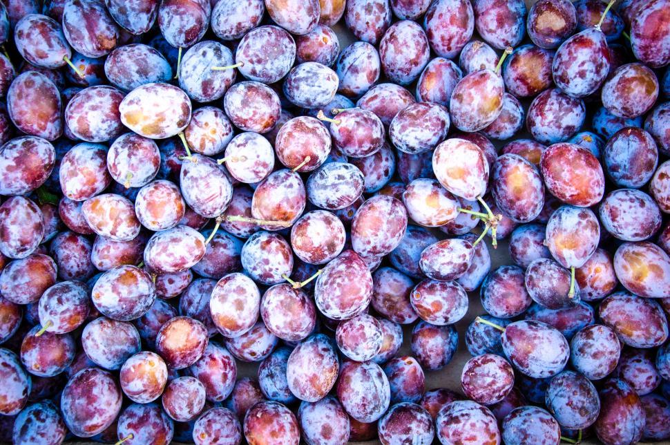 Free Image of Purple prunes 