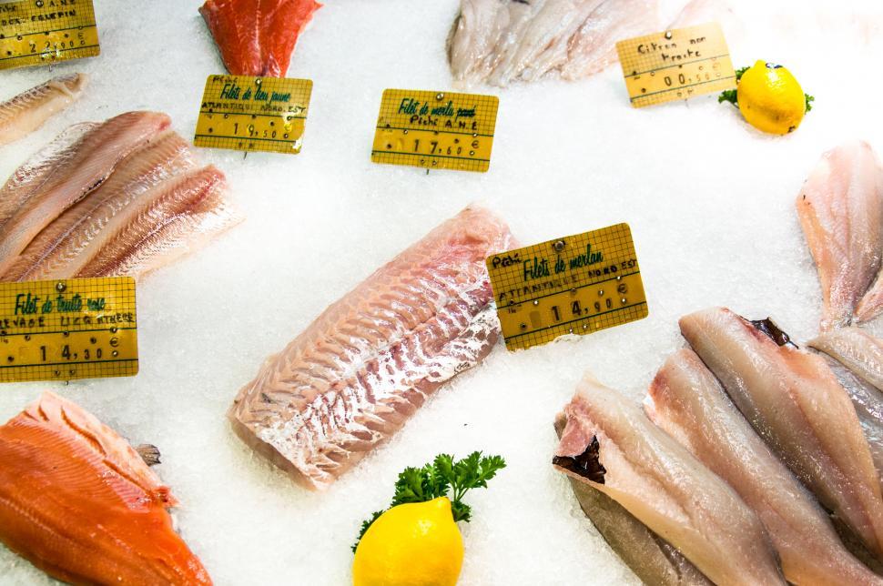 Free Image of Seafood fish on ice 