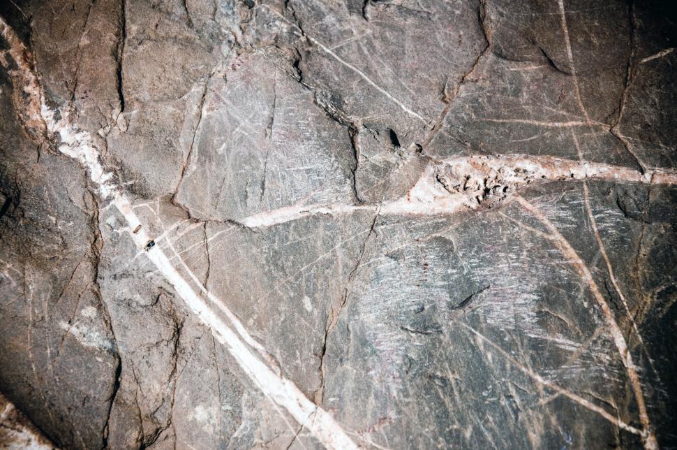 Free Image of Intricate Pattern on Rock Surface 