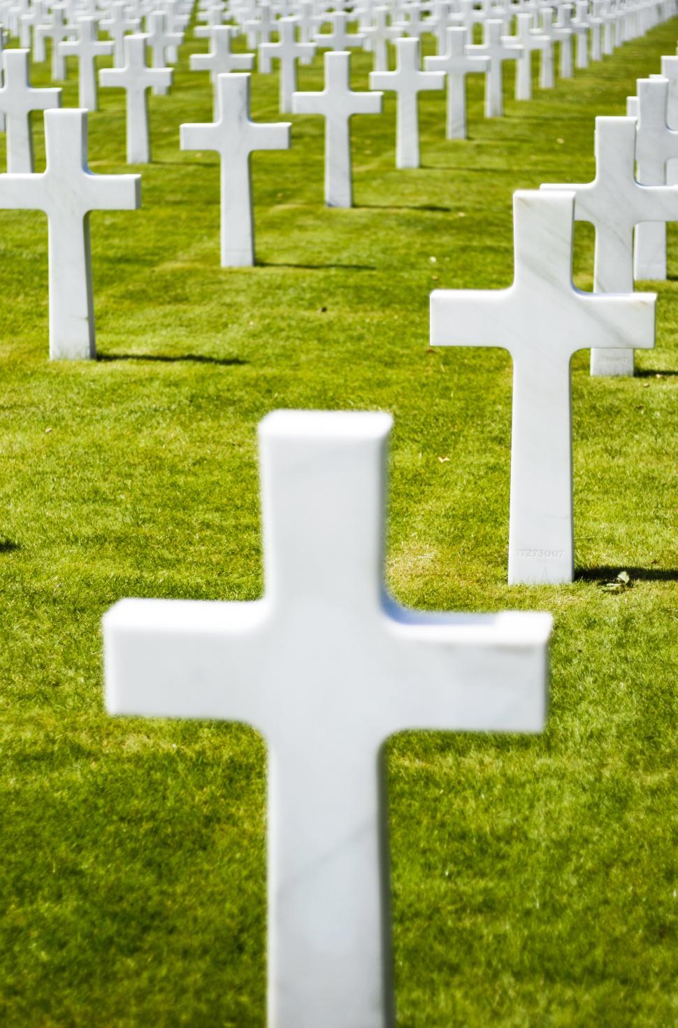 Free Image of Military graveyard 