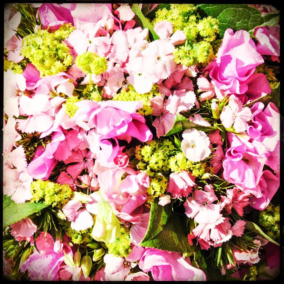Free Image of Bouquet of flowers 