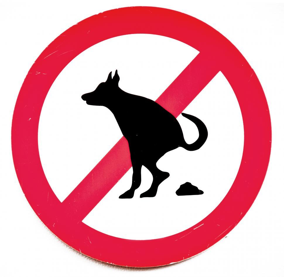 Free Image of  no dog poop sign 