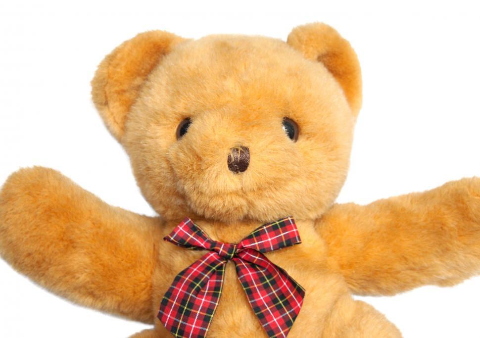 Free Image of toy teddy bear isolated on white 
