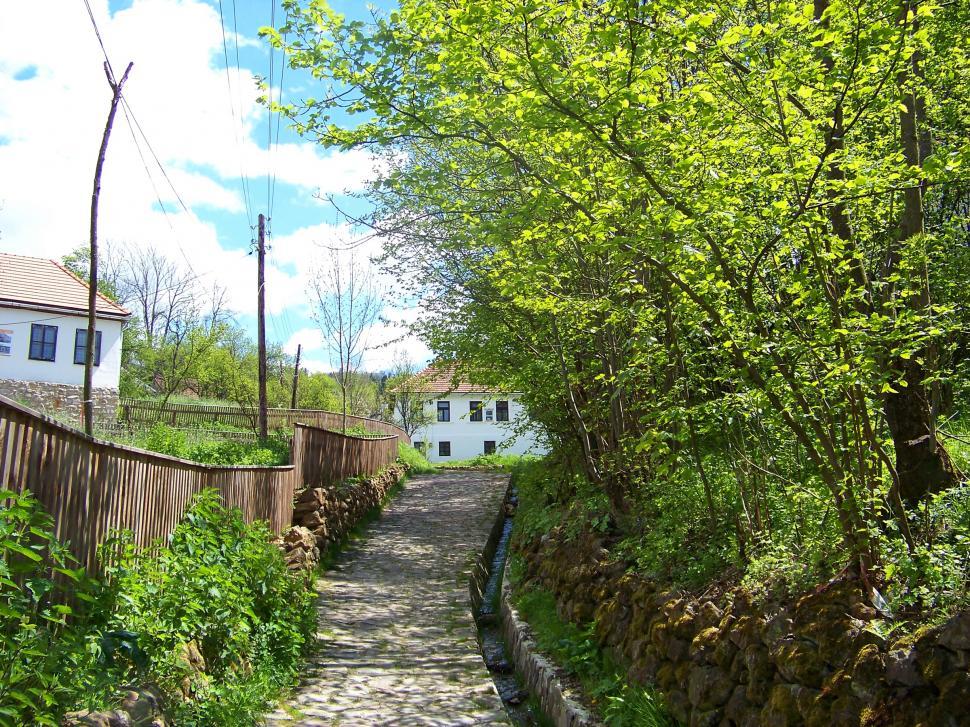 Free Image of Alley near a small ditch 