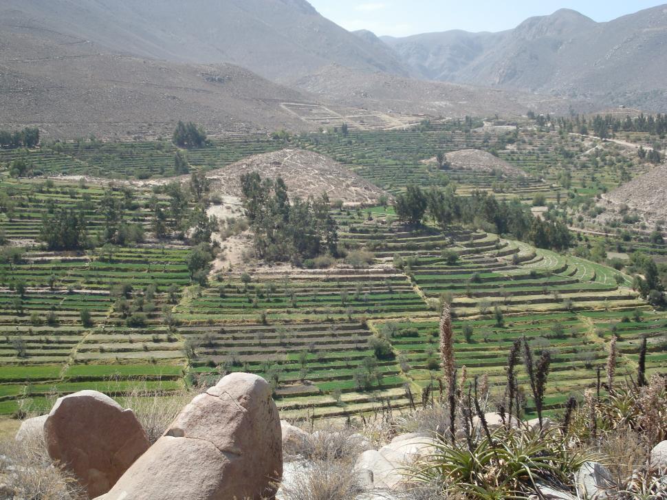 Free Image of Overlooking Valley and Mountains From Hilltop 