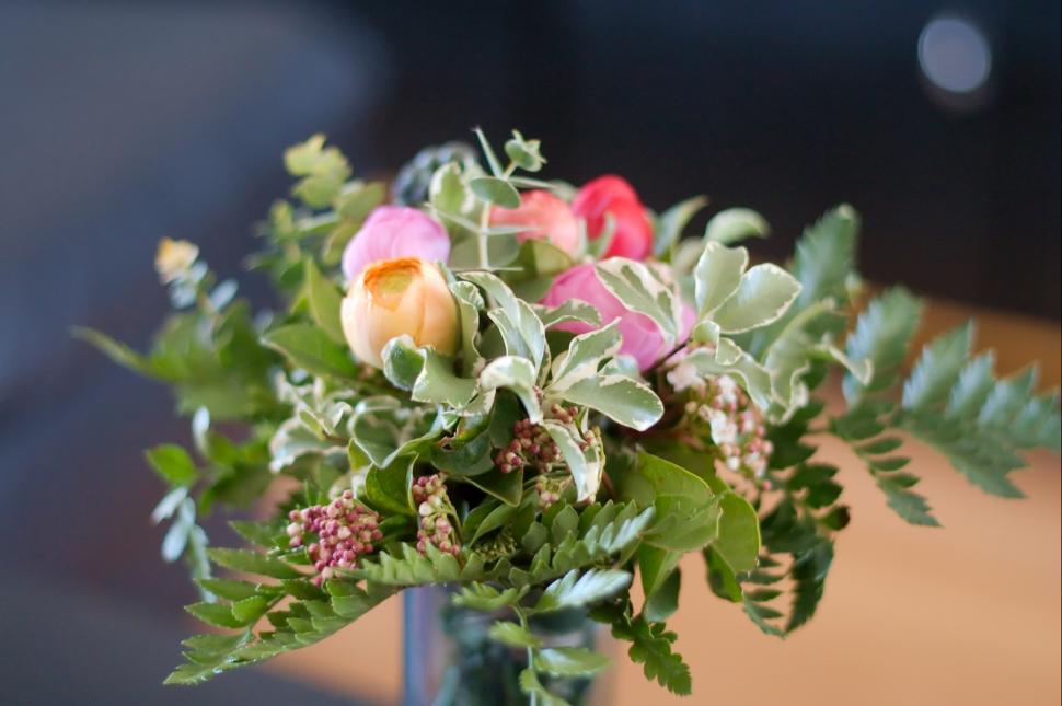 Free Image of Flowers 
