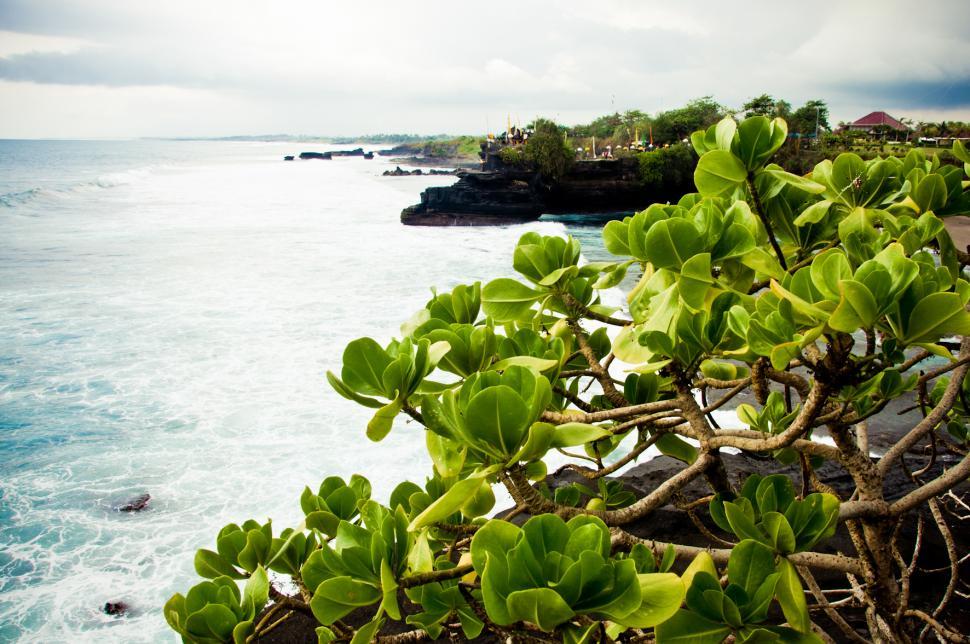 Free Image of Tanah Lot Temple on Sea in Bali Island 