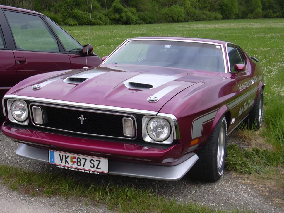 Free Image of Mustang 