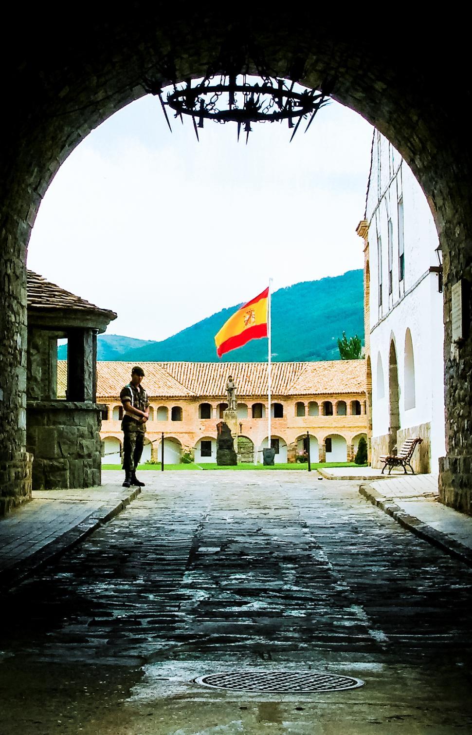 Free Image of Castle guard 
