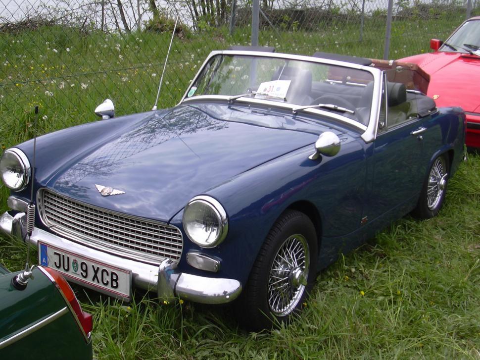Free Image of Morris model 