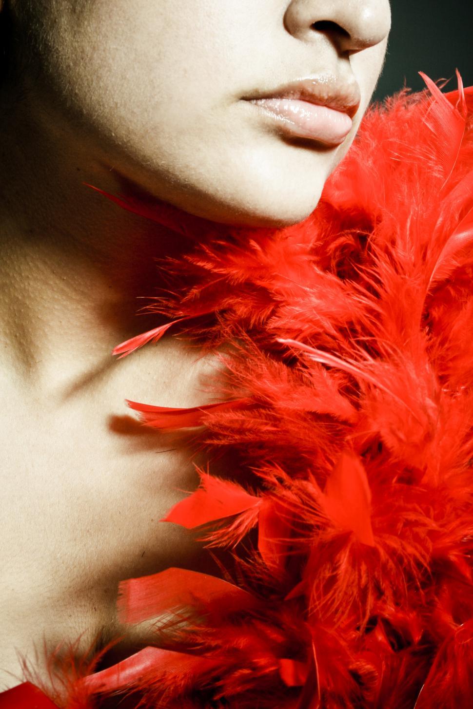 Free Image of Glamour portrait 
