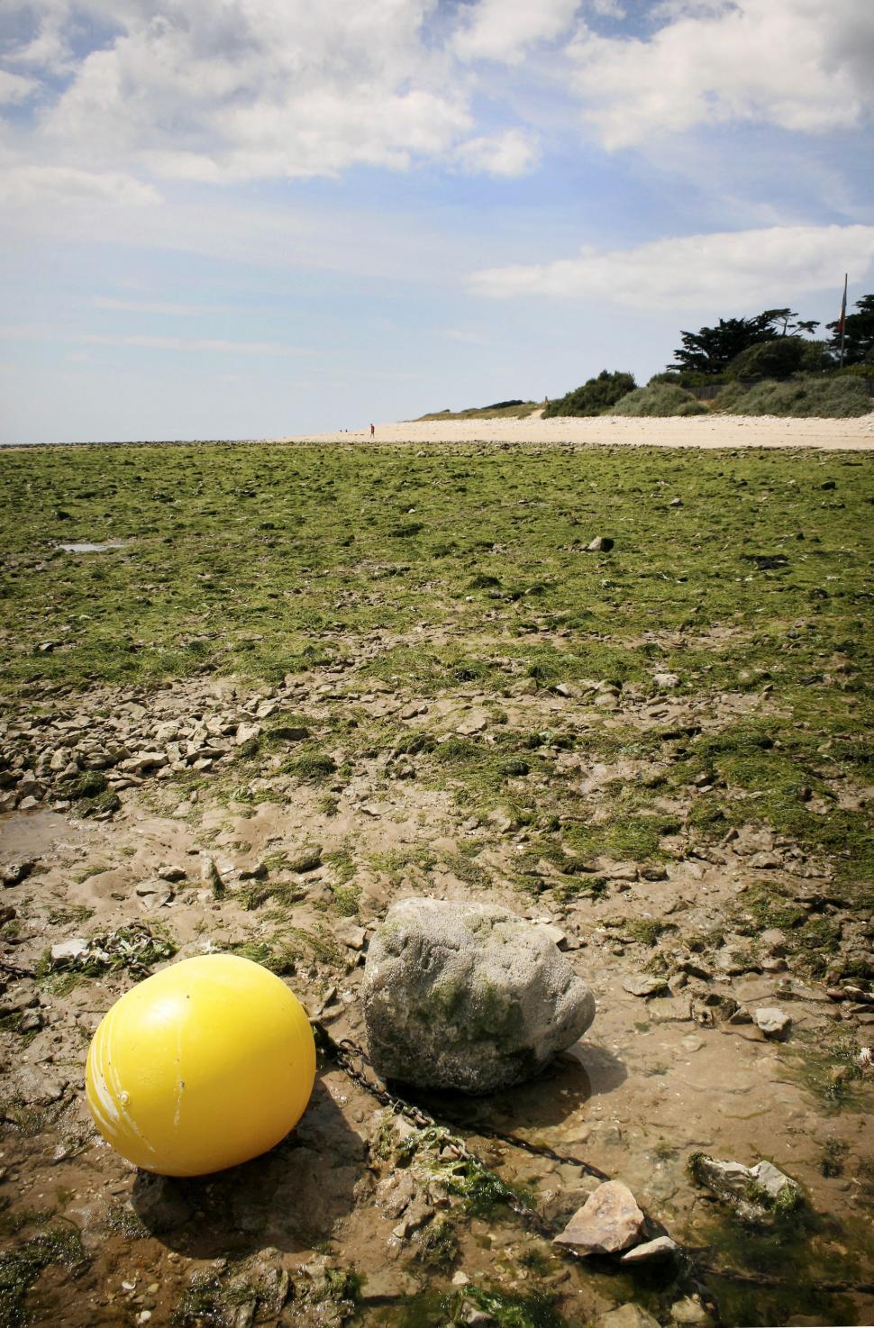 Free Image of Buoy on beach  