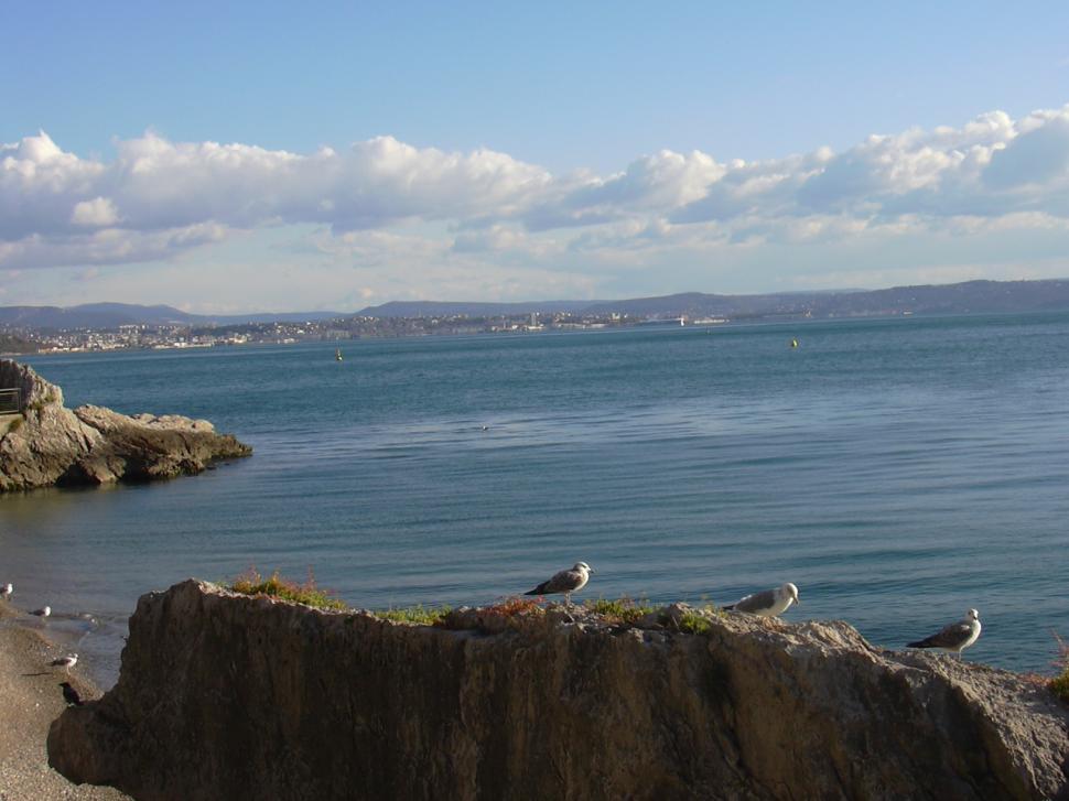 Free Image of Beach and Sea 