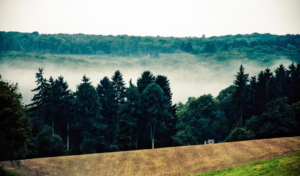 Free Image of Mist landscape 
