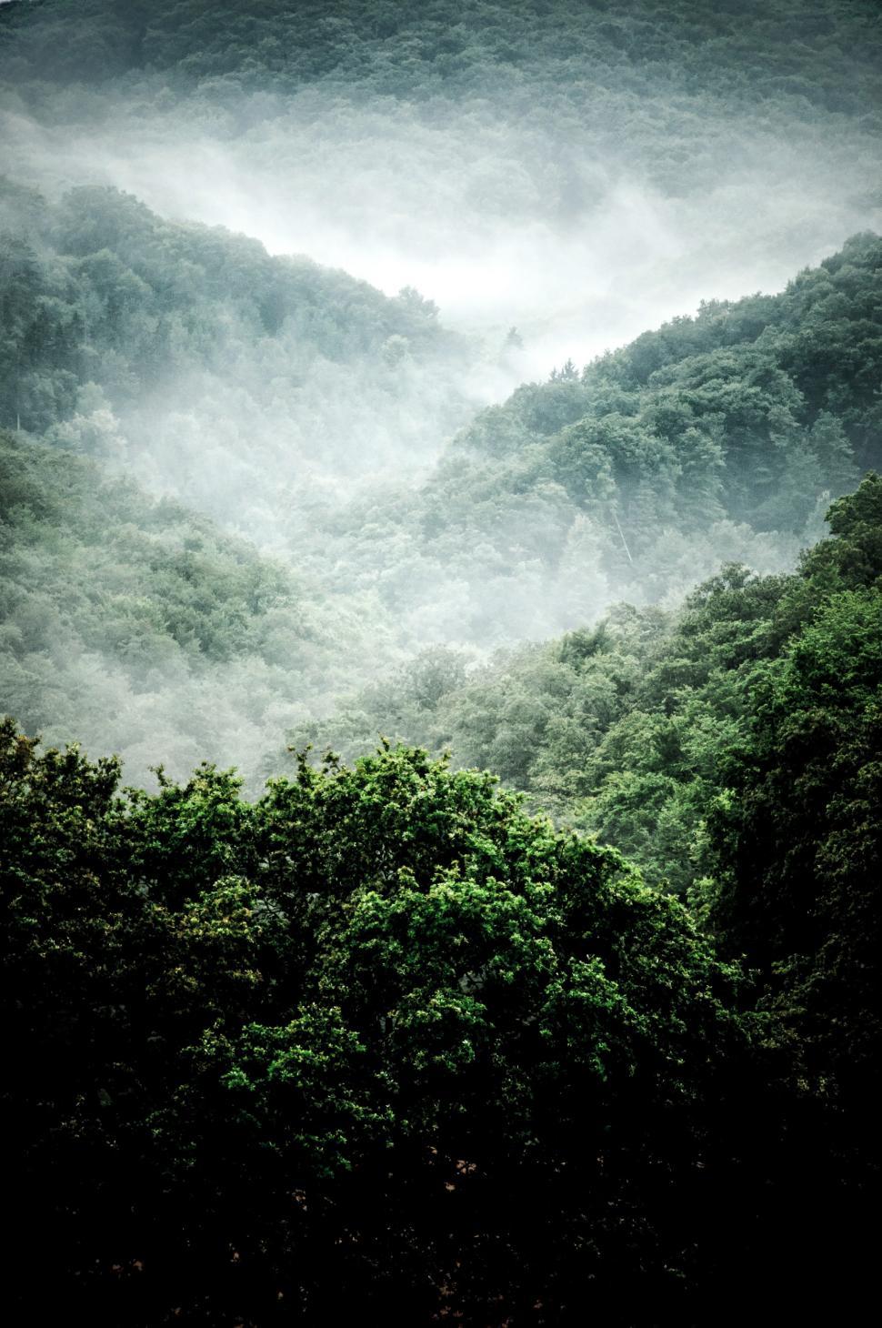 Free Image of Mist landscape 