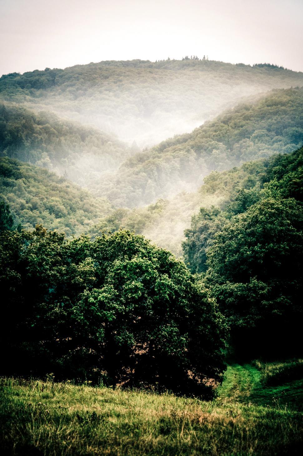 Free Image of Mist landscape 