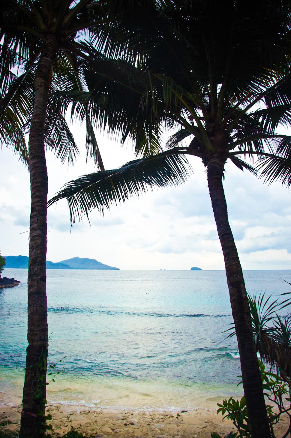 Free Image of tropical beach in bali 