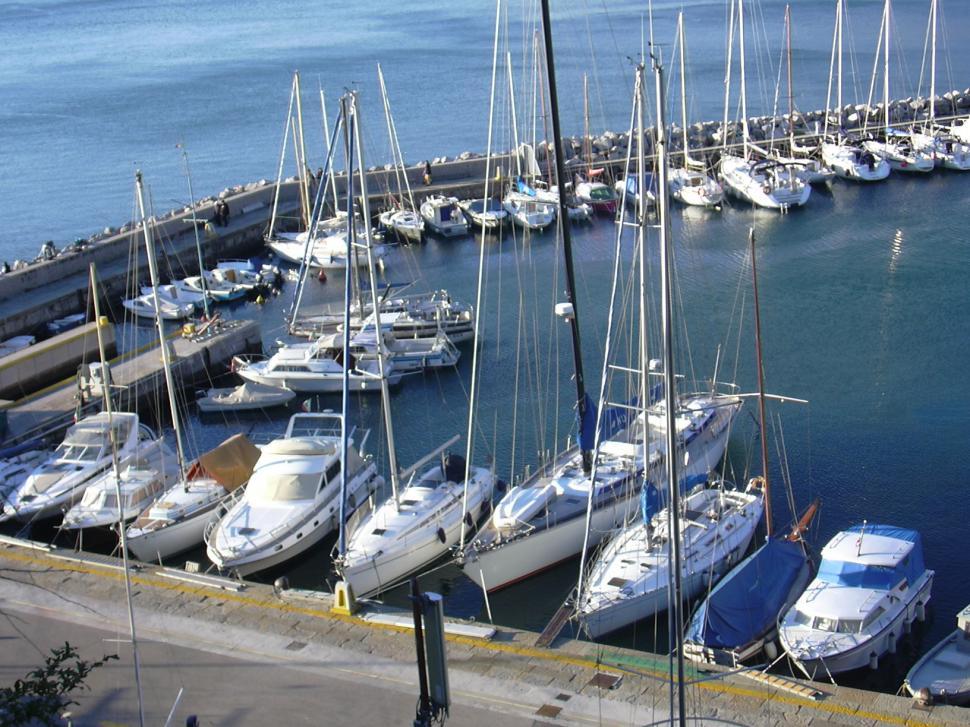 Free Image of Boats in the Marina 