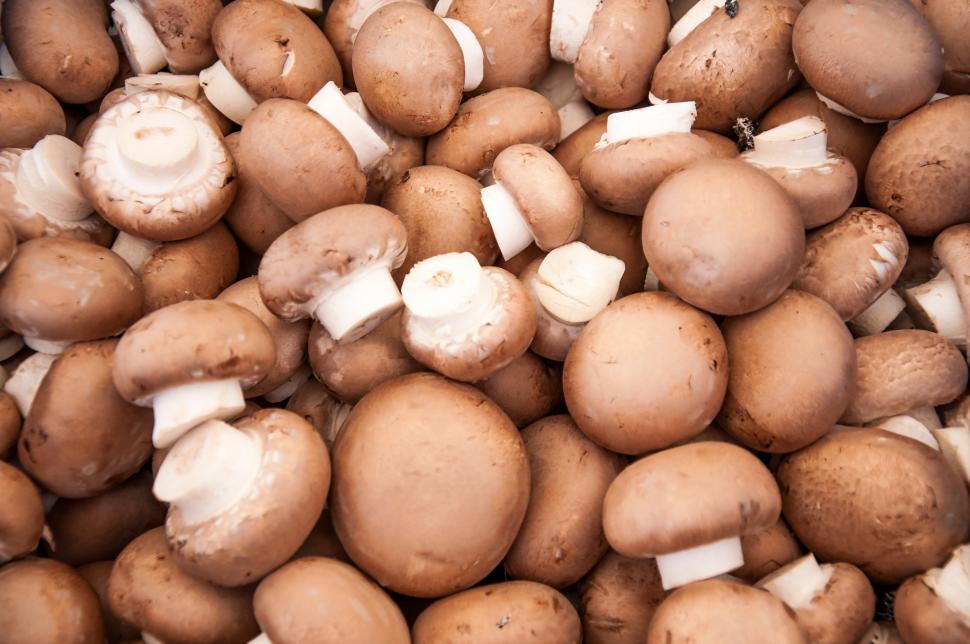 Free Image of background of fresh whole mushrooms, 