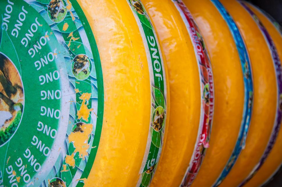 Free Image of dutch gouda cheese 