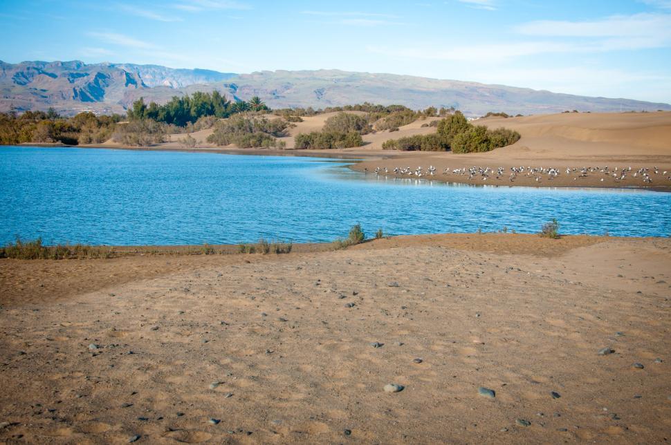 Free Image of Dune landscape 