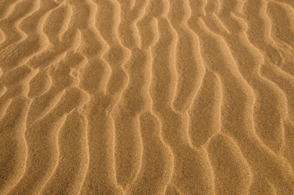 Free Image of Desert sand ripples texture 