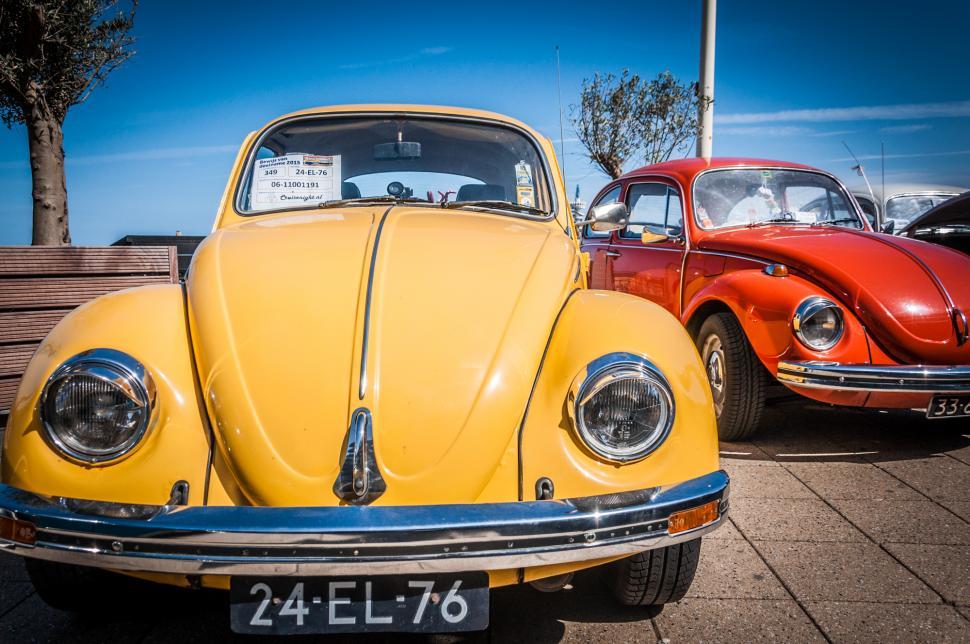 Free Image of Volkswagen Beetle cars 