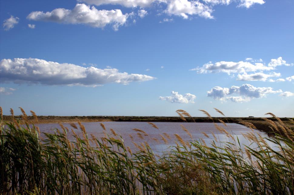 Free Image of Lake and sky 