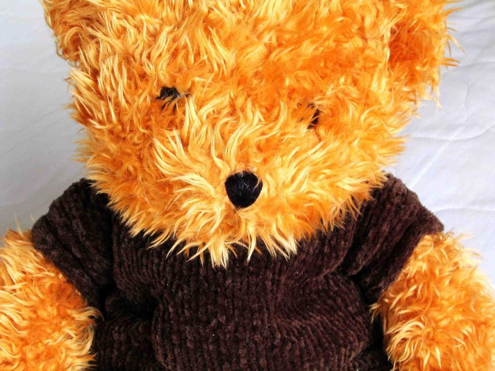 Free Image of Teddy bear 
