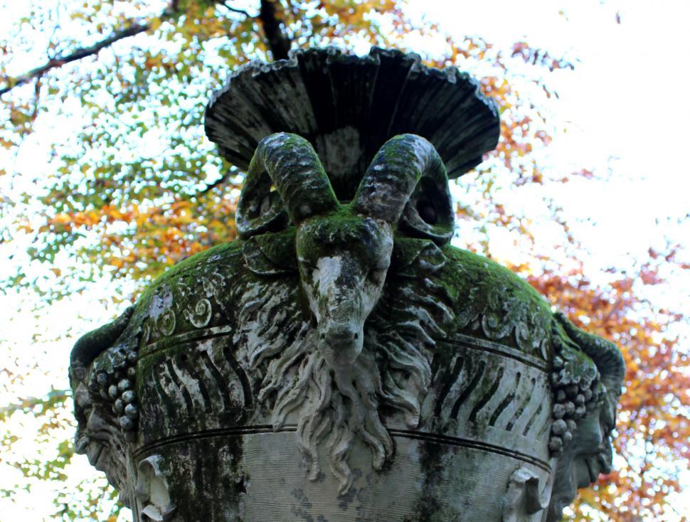 Free Image of Head of a goat in an old vase 