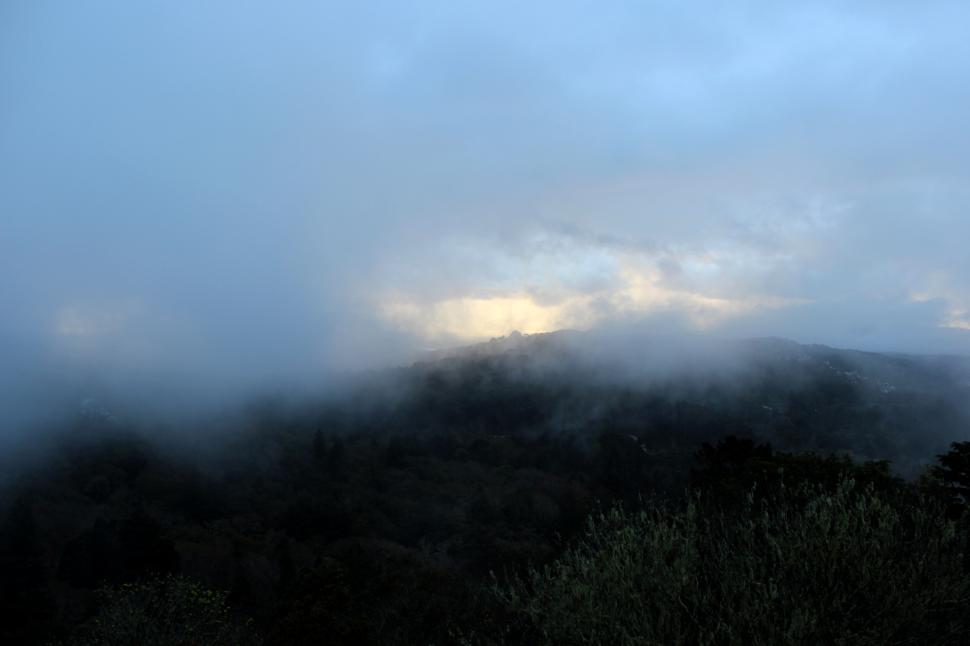 Free Image of Misty morning 