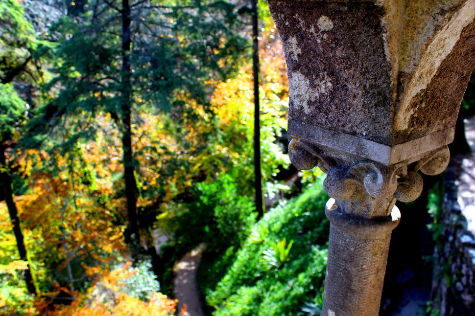 Free Image of View onto the woods 