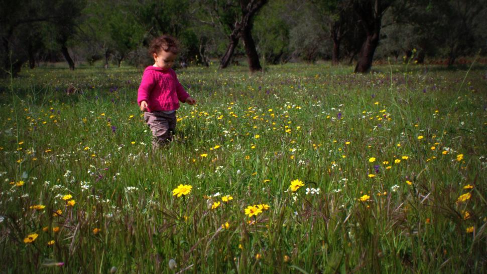 Free Image of Sweet baby girl in a meadow with wild spring flowers 
