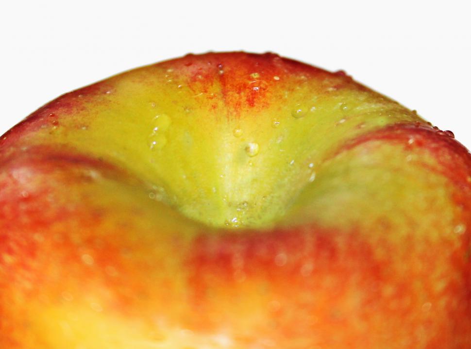 Free Image of Apple Close up 