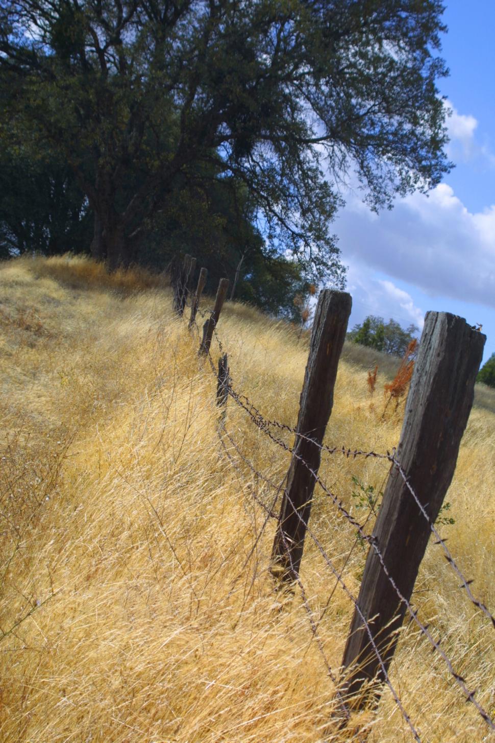 Free Image of The Open Field 