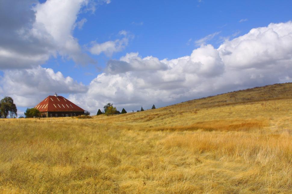 Free Image of The Open Field 