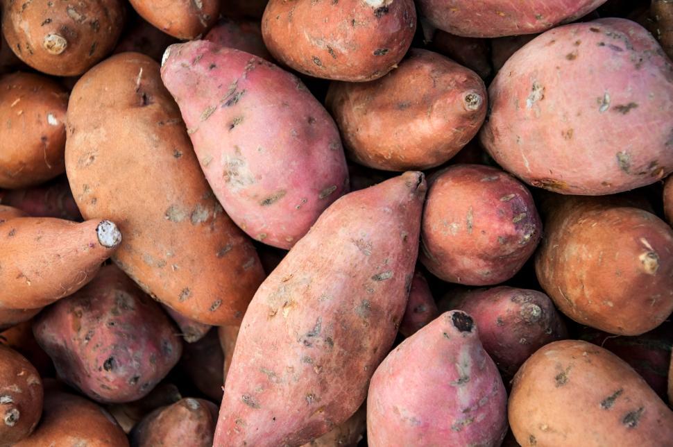 Free Image of organic sweet potatoes 