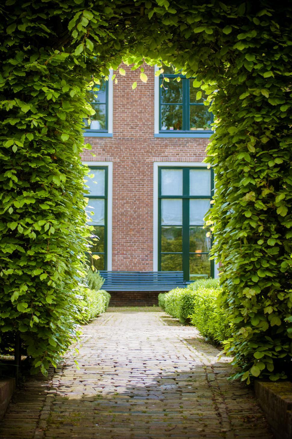 Free Image of  Shot of Garden Arch  
