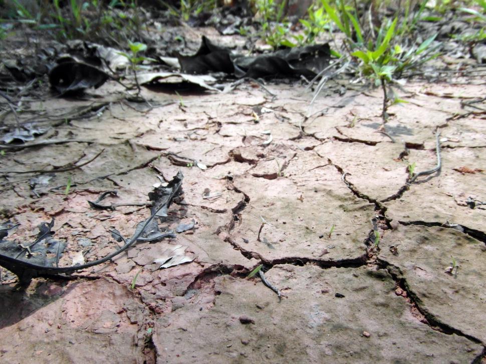 Free Image of Dry Cracked Earth 
