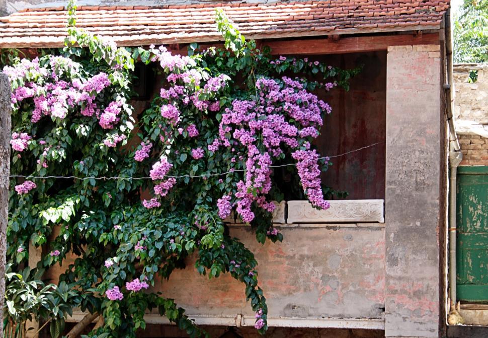 Free Image of The balcony 