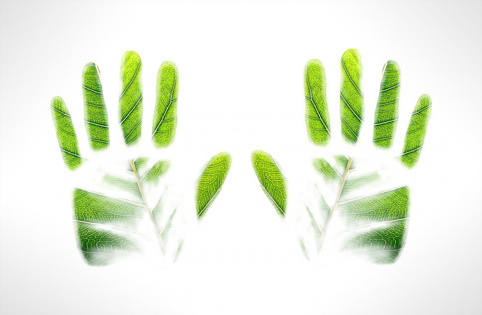 Free Image of Green handprints 
