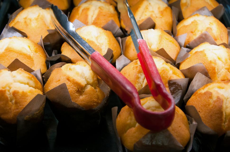 Free Image of tasty muffin cakes 