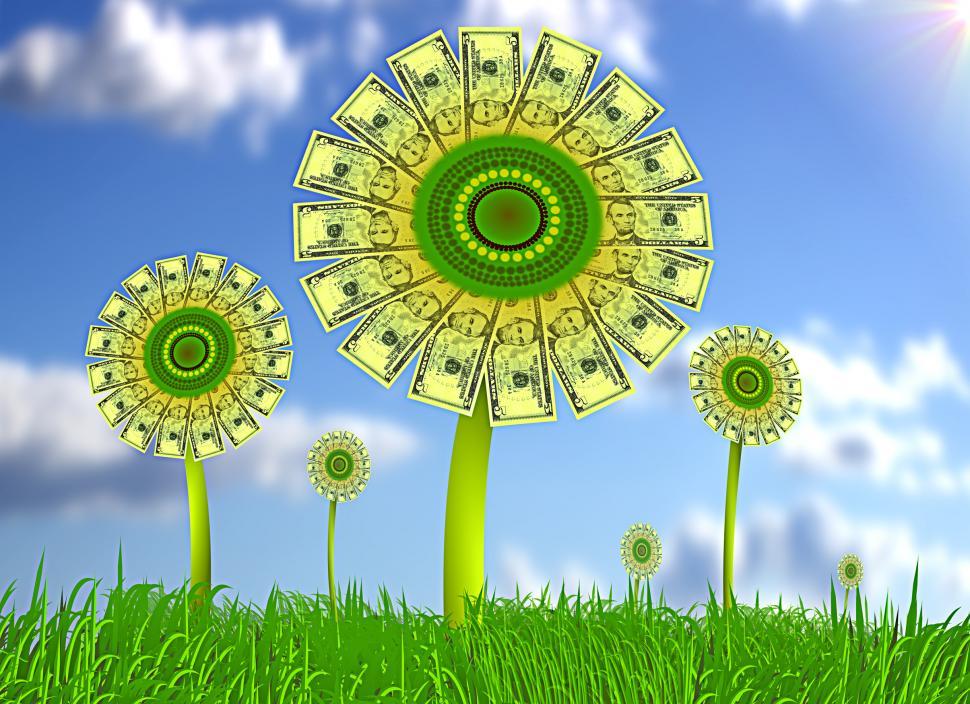 Free Image of Sunflowers with dollar bills - Asset growth concept 