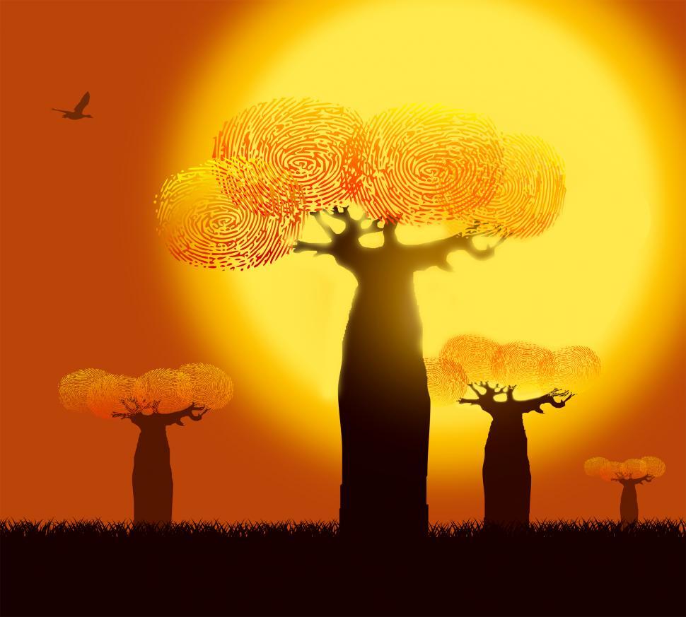 Free Image of Ecology Concept - Fingerprints on Baobab Trees - Warm Colors 