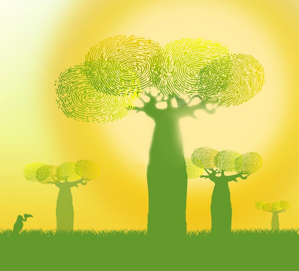 Free Image of Ecology Concept - Fingerprints on Baobab Trees - Green and Yello 