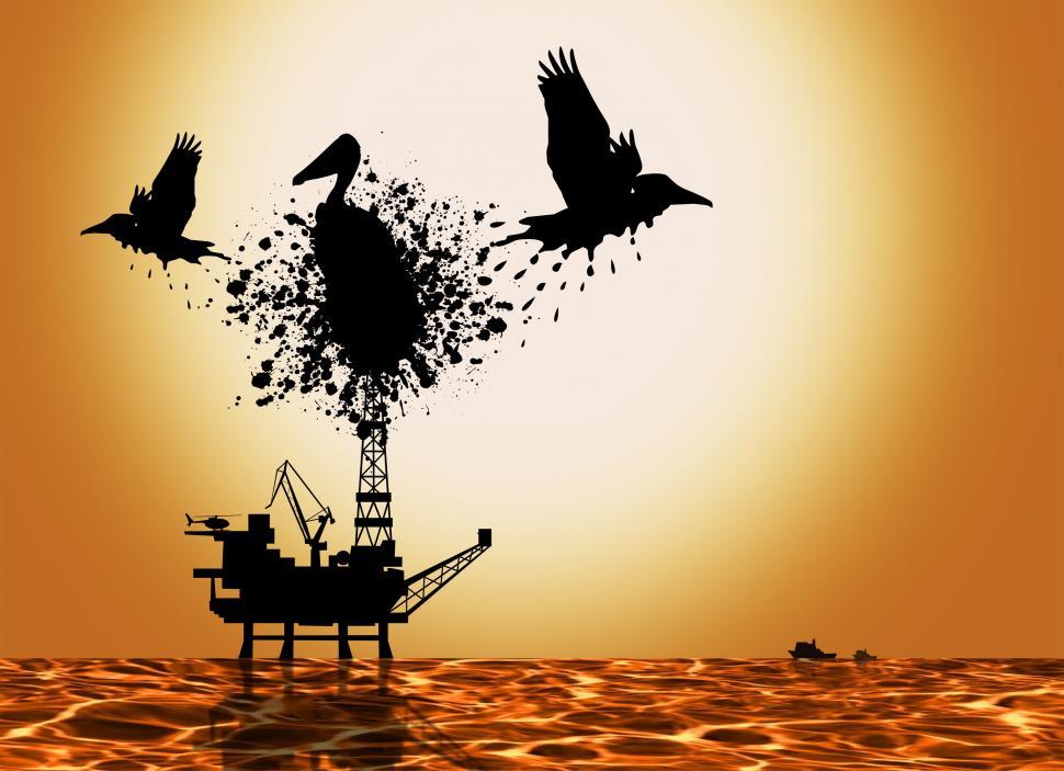 Free Image of Oil Spill Pollution - Concept with Pelicans 