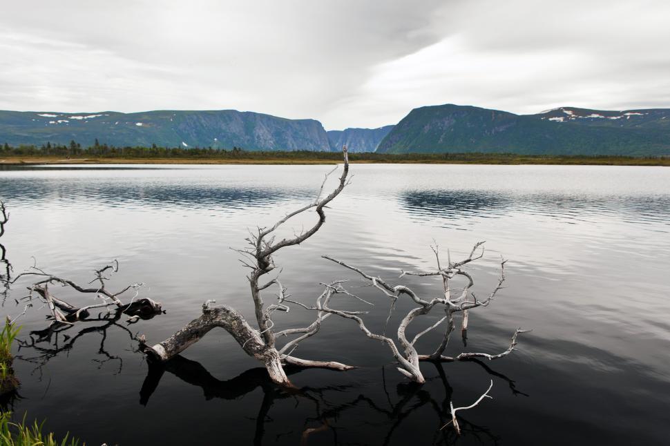 Free Image of Lake with Mountains 