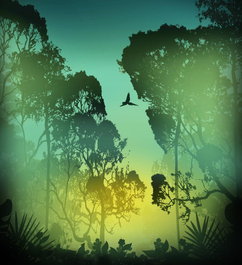 Free Image of Tropical rainforest scene - Ecology and biology concept 
