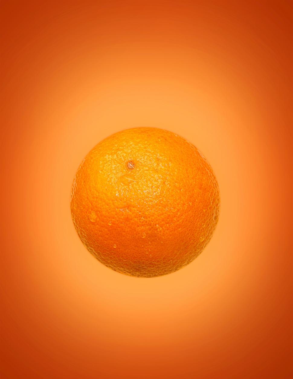 Free Image of Orange on Orange 